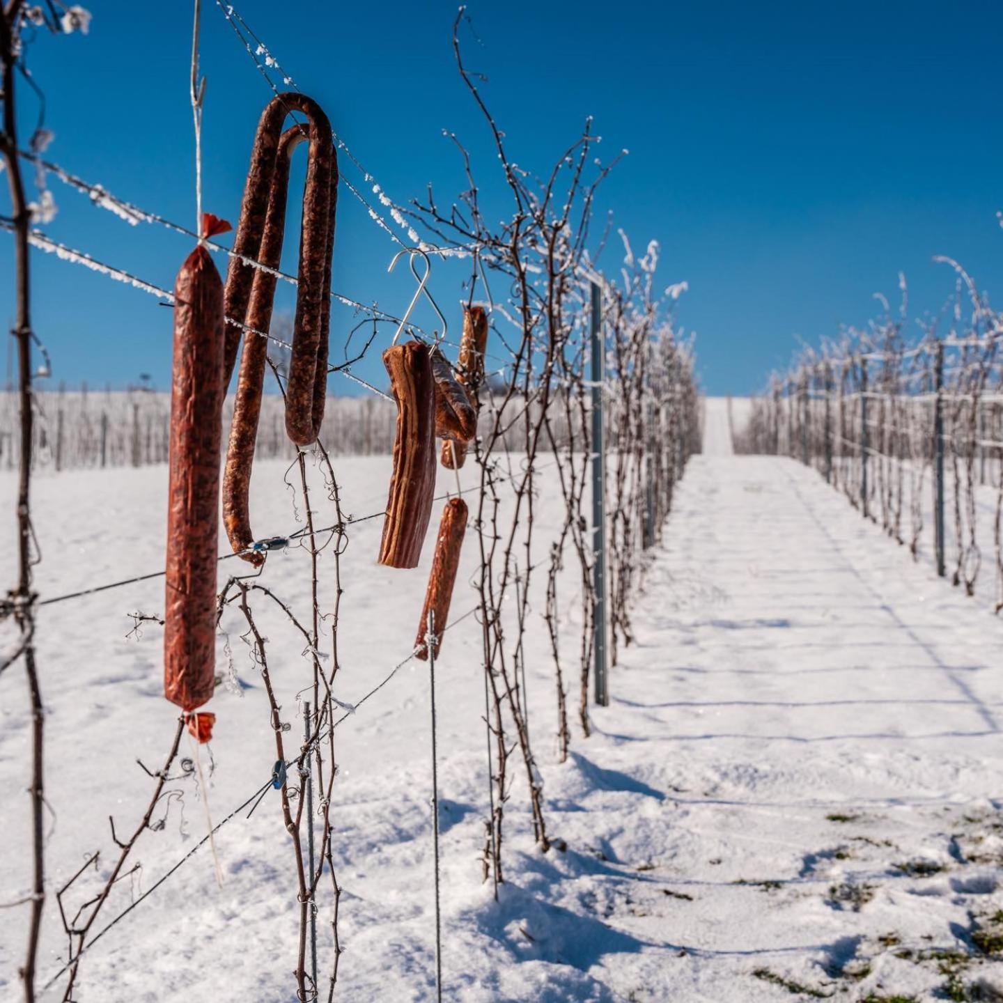 Bed&Breakfast Vinarija Coner Bjelovar Zewnętrze zdjęcie
