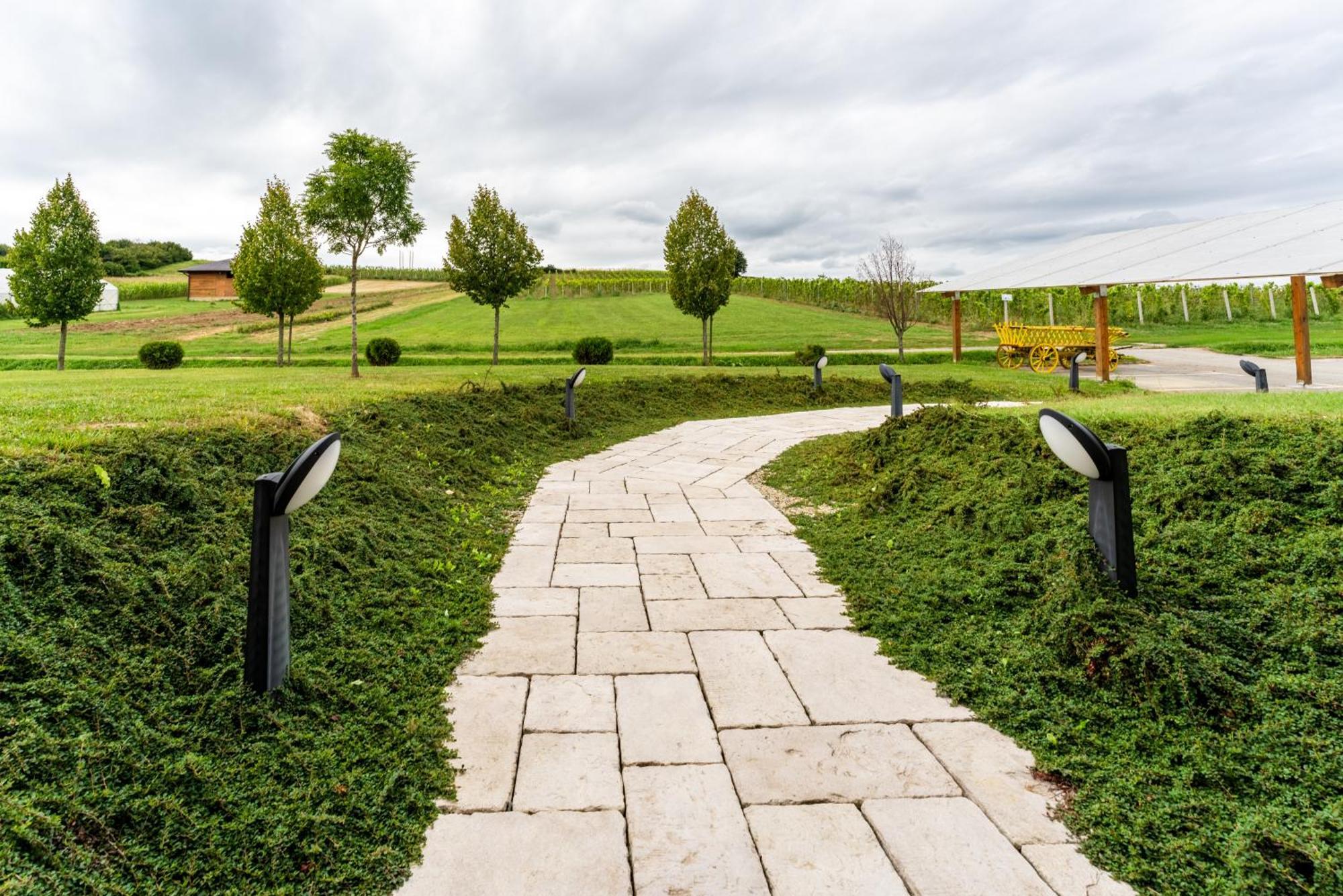 Bed&Breakfast Vinarija Coner Bjelovar Zewnętrze zdjęcie
